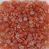 50 Stück - Blüten crystal apricot medium