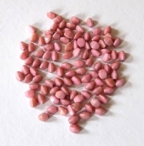 50 Stück - pinched beads - chalk red lüster