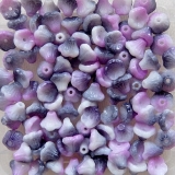 30 Stück - Trichterblüten chalk white funky purple