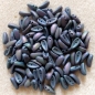 Preview: 50 Stück - Preciosa Chilli beads - jet matt purple iris
