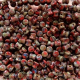 50 Stück - Preciosa Pellet - red coral travertin