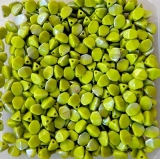 50 Stück - pinched beads - olivine opak AB