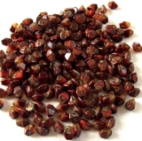 50 Stück - pinched beads - cr. dark red travertin