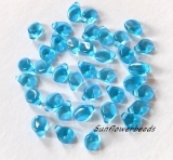 50 Stück - Preciosa Pip beads - aquamarine