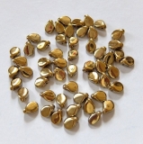 50 Stück - Preciosa Pip beads - gold