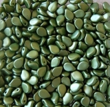 50 Stück - Preciosa Pip beads - pastell olivine
